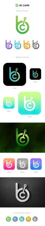 BCD Logo Icon Branding Presentation